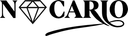 logo1